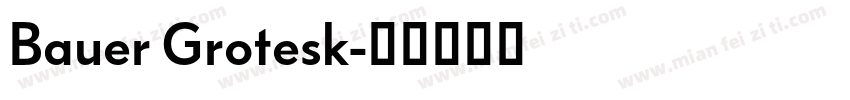 Bauer Grotesk字体转换
